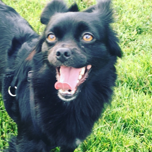 Meet your Posher, Marina! 💓 - Picture 4 of 4